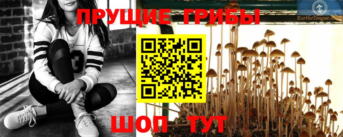 Галлюциногенные грибы GOLDEN TEACHER Альметьевск