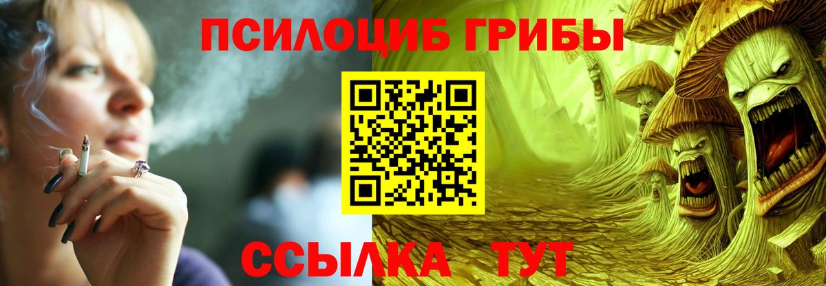 Альметьевск  Галлюциногенные грибы MAGIC MUSHROOMS  Вход с VPN 